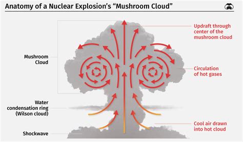 Nukemap3d. g.  Now, for the first time, you can visualize what a mushroom cloud ...