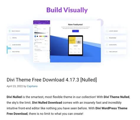 Nulled themes.  Here&rsquo;s why you should avoid them.  Before you take that &ldquo;free&r...