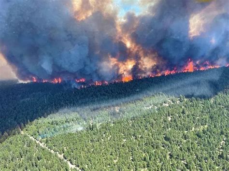 Number of wildfires surges in British Columbia after weekend of lightning strikes
