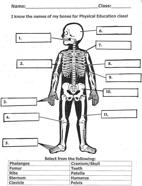Numbering all the bones readers guide questions. - Mémoires pour servir à l'histoire d'haïti.