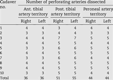 Numbers of perforating arteries of ATA, PTA & PA territories.