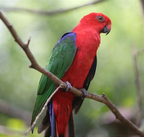 Nuri Halı ve Koltuk Yıkama