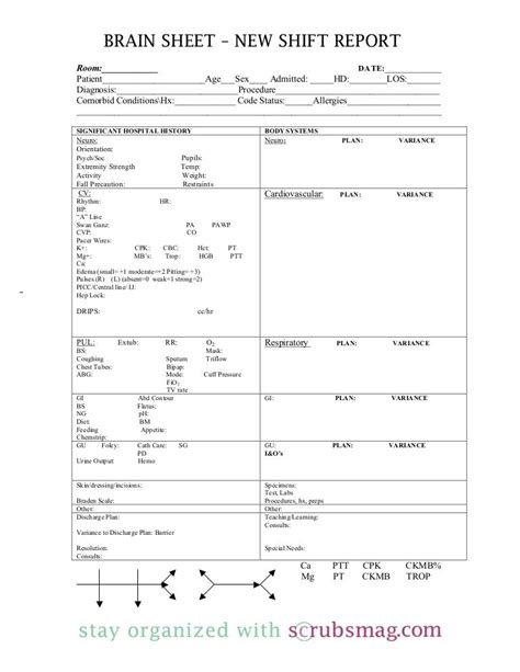 Nurse brain sheet_new_shift_report