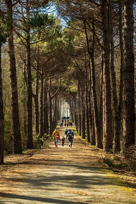 codini.rgarabwor.edu.pl. 