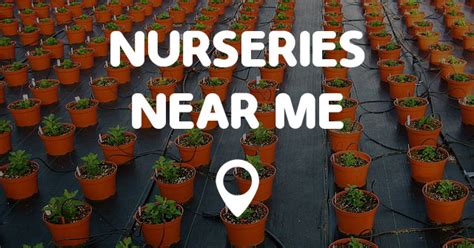 Nurseries near postcode BA11 1 - whichnursery.com