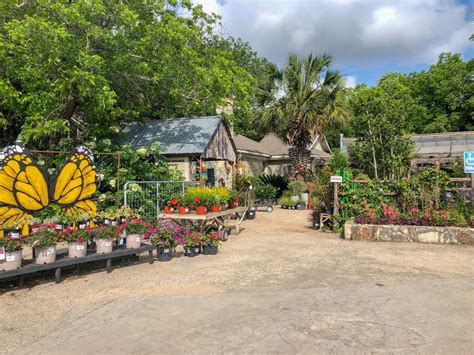 Nursery austin tx. Florida is home to some of the most beautiful and diverse plant nurseries in the country. With its warm climate and abundance of sunshine, it’s no wonder that Florida is a great pl... 