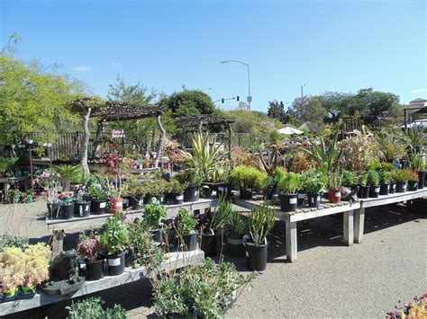 Nursery san diego. The Little Barn at Native West Nursery 1849 Leon Ave, San Diego, CA Hours: Thursday: 7AM - 3:30 PM Friday: 7AM - 3:30PM Saturday: 8AM - 4PM (Closed for lunch 12-12:30) OPTION 2: ORDER FOR PICKUP Email kristen@nativewest.com with the species you are looking for. We will check our current availability and give you pricing. 