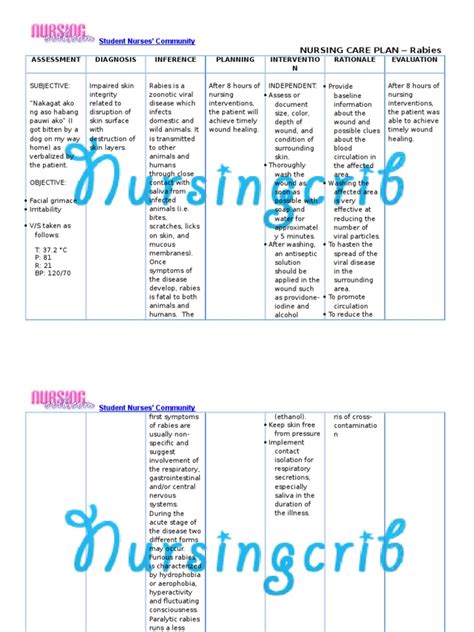 Nursing Care Plan for Rabies NCP - DocShare.tips