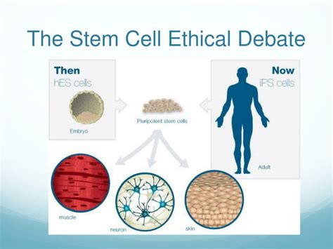 Nursing Ethics in Stem Cell Research: Perceived Attitudes and Beliefs of Nurses. University of Phoenix Research …