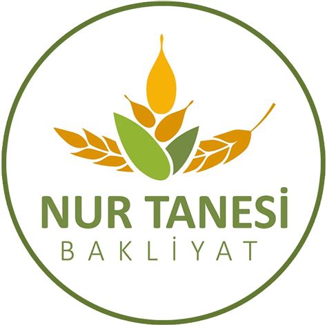 Nurtanesi Halı ve Koltuk Yıkama