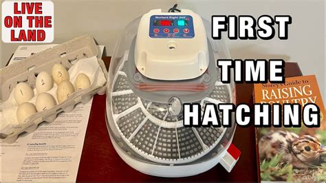 Nurture right 360. Our first hatch of the year went well! I used the dry hatch method again this time. ~~~~~Thanks for stopping by! We are... 