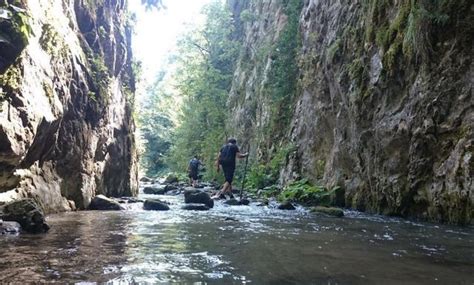 Nushetiye Halı ve Koltuk Yıkama