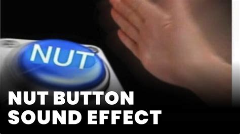 Nut sound effect. Things To Know About Nut sound effect. 