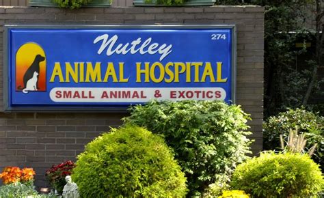 Nutley animal hospital. Hours of Operation. Nutley Animal Hospital is pleased to provide surgical information to help in the process of caring for your pet. 