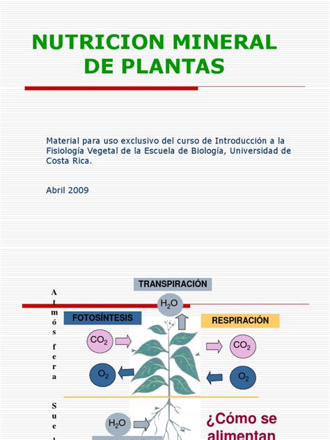 Nutrición mineral de plantas principios y perspectivas. - Ekg technician study guide exam prep series.