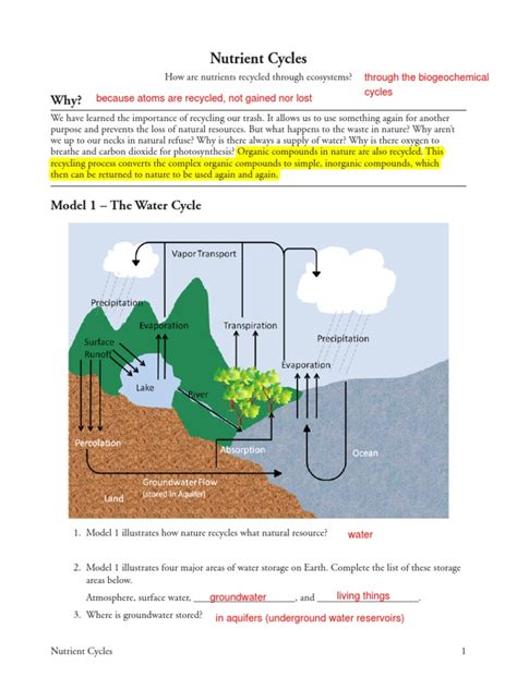 Nutrient cycle pogil answer key. The main nutrient cycles include water, carbon, nitrogen, oxygen, and phosphorus cycles. Primary producers, such as plants in the ecosystem, take up inorganic nutrients from the non-living environment. These inorganic nutrients can be transformed into biomass. The nutrient cycles work in balance with each other. 