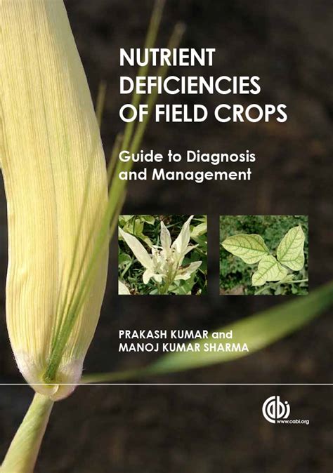 Nutrient deficiencies of field crops guide to diagnosis and management. - Die komplette anleitung zu sonys a6000 camera b w edition.
