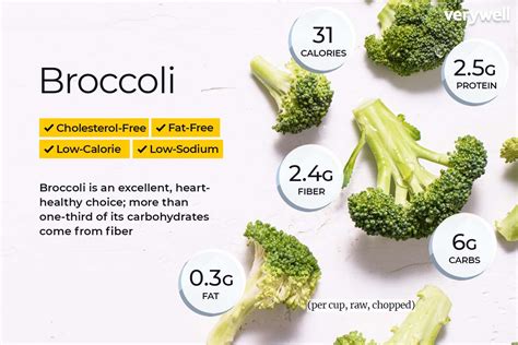 Discover the essential nutrients found in broccoli and its various health benefits. Improve your diet with this versatile and nutritious vegetable.