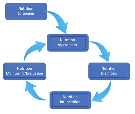 Nutrition Care Process An Overview Visual Veggies