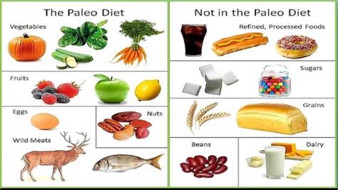 Nutrition Examen 2 Flashcards & Quizzes Brainscape