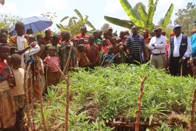 Nutrition UNICEF Burundi