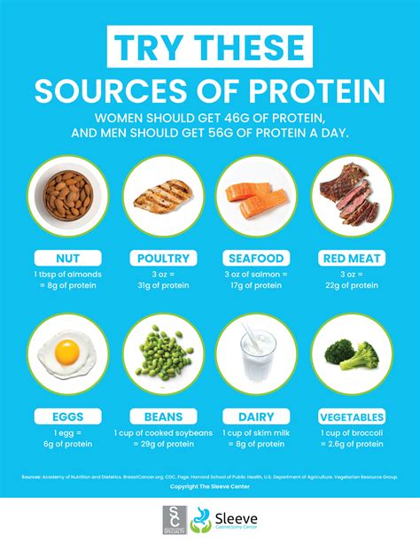 Nutrition handouts: Protein in common foods