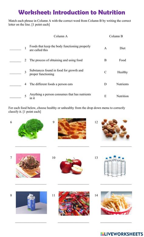 Nutrition introduction worksheet