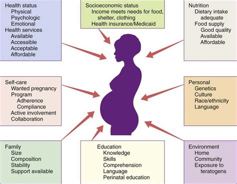 Nutrition of the ewe and embryo growth during early pregnancy