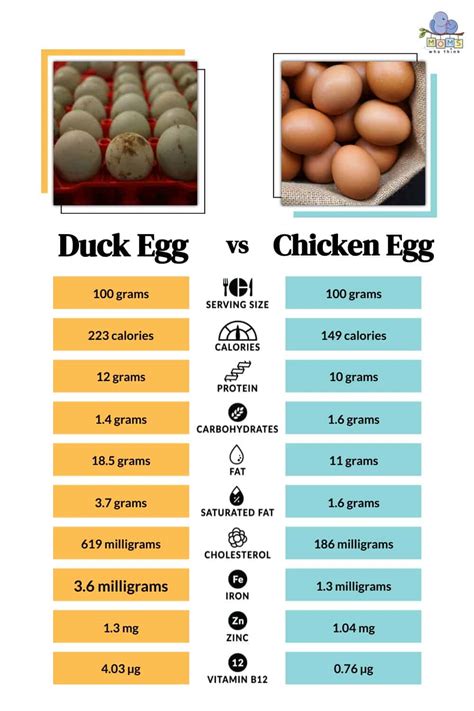 Nutritional Stats on Chicken Eggs Vs. Goose Eggs