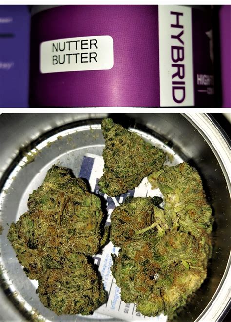 Jan 3, 2022 · Nutter Butter is an evenly balanced hybrid strain 