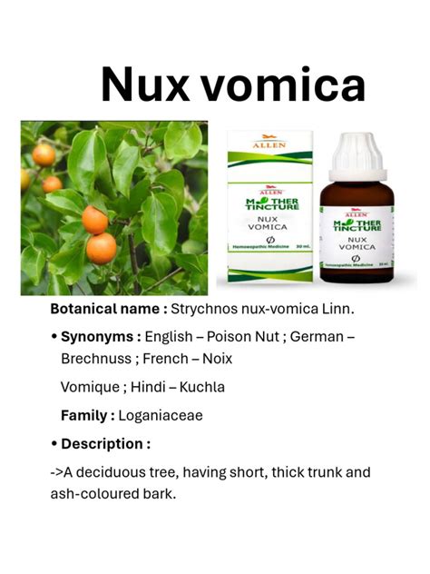 Nux vomica uses.  Learn about its safety considerations and potential imp...