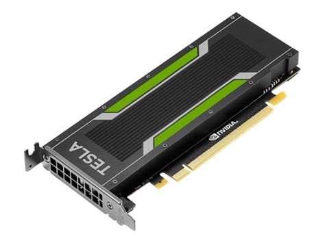 Nvidia tesla t4