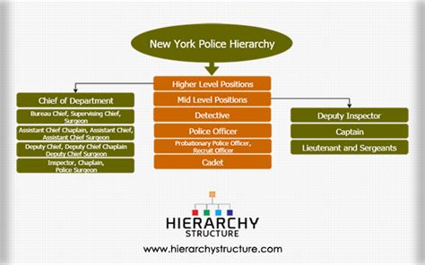 Ny city police ranks. As such you can expect to receive a median pay of $102,705 (according to the data as of October 30, 2017) as per the information provided on Salary.com. The range given is between $96,980-$108,940. Naturally, your salary will increase with each promotion to a higher rank, along with your responsibilities. 