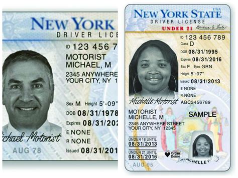 Ny drivers license renewal. 