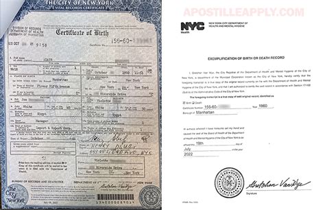 Nyc birth certificate replacement.  How do I submit a correction/amendment fo...