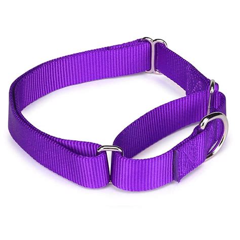 Nylon Martingale Collar Dog Collars for sale eBay