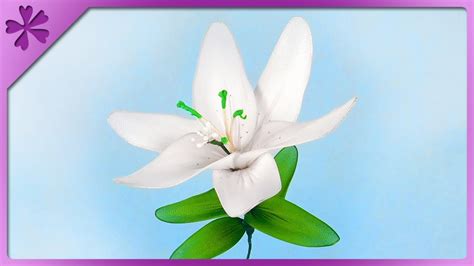 🍆 Nylon_Lily Onlyfans Leak [CLIP] 152 Pics