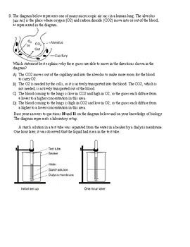 Nys Regents Diffusion Lab Answer Key