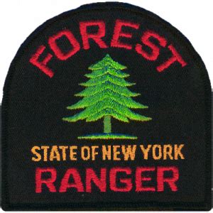 Nys dec forest ranger study guide. - 1988 e150 ford cargo van service manual.
