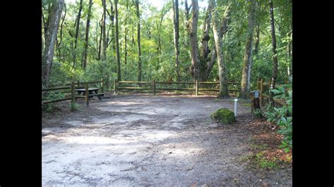 A thin layer of quaternary quartz sand overlies the Ocala Limestone throughout much of the park. O'Leno State Park is one of the few places in Florida where a river disappears underground and reappears a few miles away. Within the park, the Santa Fe River flows underground via Santa Fe River Sink, becoming part of the Floridan aquifer system.. 