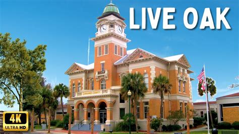 O'reilly live oak fl. Things To Know About O'reilly live oak fl. 