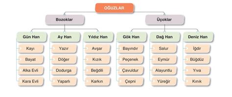 codini.rgarabwor.edu.pl. 