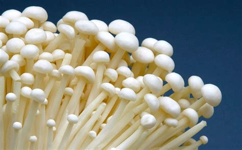 O’Ya hoho brand enoki mushrooms recalled for possible Listeria contamination