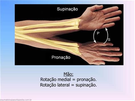 O que é supinação? - Spiegato