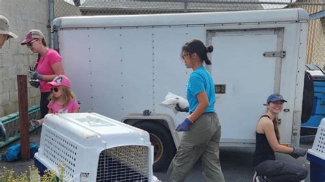 O.C. wildlife center helps evacuate animals ahead of Hurricane Hilary 