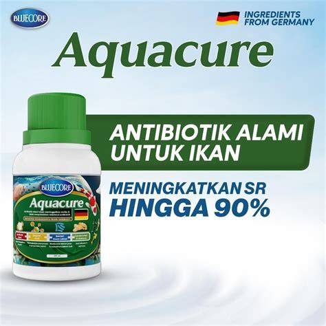 Obat Alami Untuk Ikan Guppy - Cara Mengobati Penyakit - raincitystudios.com