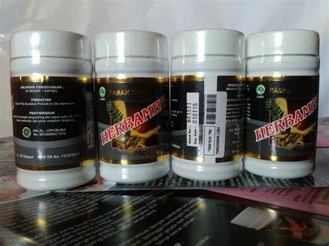 Obat Alami Untuk Lemah Syahwat - Cara Mengobati Penyakit - raincitystudios.com