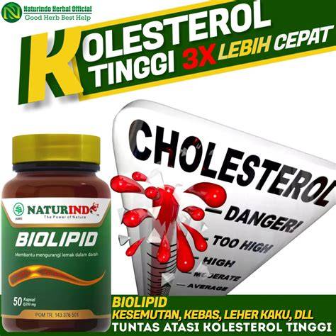 Obat Herbal Darah Tinggi Kolesterol Asam Urat - raincitystudios.com