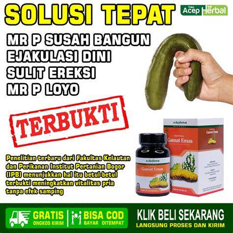 Obat herbal lemah sahwat bos.. Mr. P. Susah berdiri. - raincitystudios.com