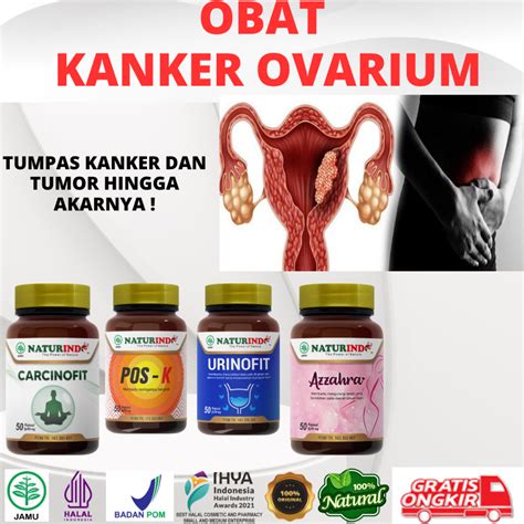 Obat Untuk Kanker - wintechmobiles.com